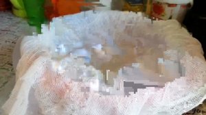 ДОМАШНИЙ СЫР| БРЫНЗА ДОМА ИЗ ПЕПСИНА (ЗАКВАСКИ)