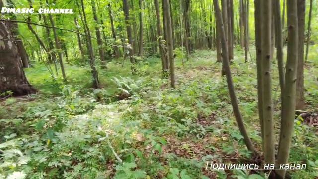 сельское кладбище Ивановской области смотреть онлайн
