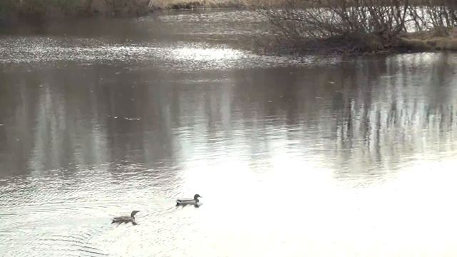 Весна красна, душевная красота!