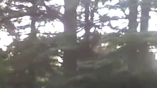 Micro flight 4 смотреть онлайн