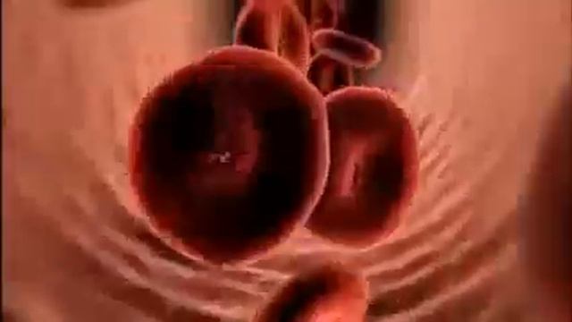 Ламинин Краткая презентация смотреть онлайн