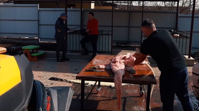 CROCODILE MEAT On A CHARCOAL GRILL, GRILLED CROCODILE MEAT.