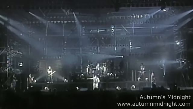 RAMITO DE VIOLETAS | AL ESTILO DE RAMMSTEIN