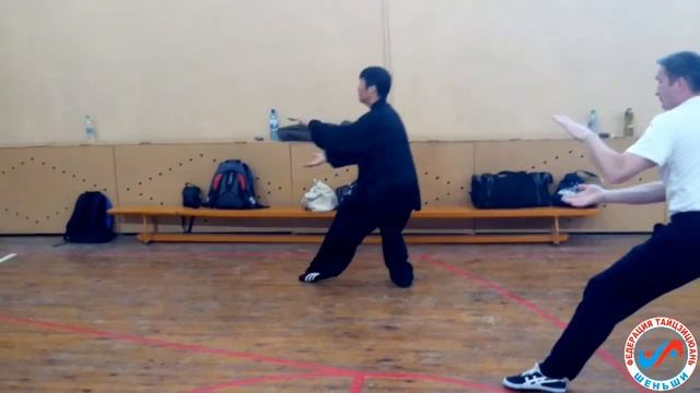 Тайцзицюань Стиль Шень смотреть онлайн