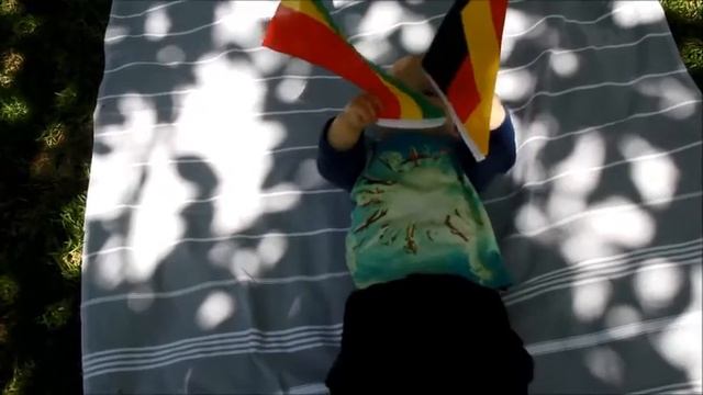 The baby oracle #11 - Ghana vs. Germany смотреть онлайн