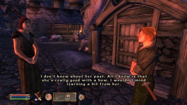 Altmer and Nord smalltalk in Bruma. Oblivion NPC conversation смотреть онлайн