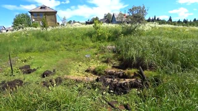 Достаю прошлогодние находки. 