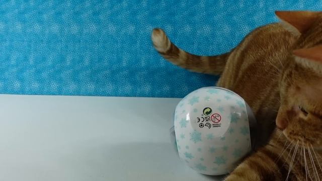 LOL Surprise Winter Games All Star Sports Unboxing # 1 | PSToyReviews смотреть онлайн