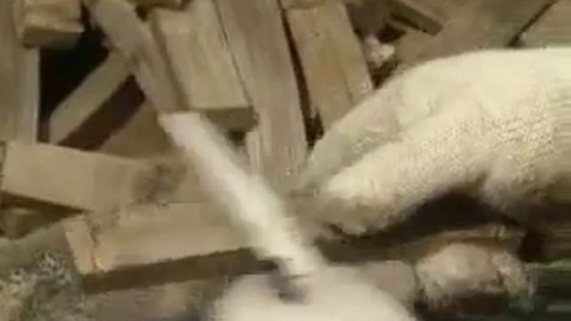 Лук Корейский(Азиат) смотреть онлайн