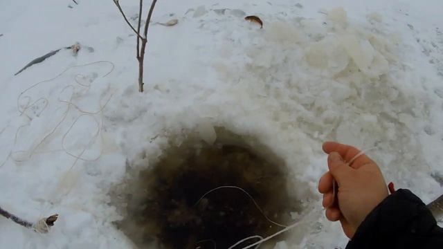 Налим на ерша!! Зимний перемет,донка!! смотреть онлайн