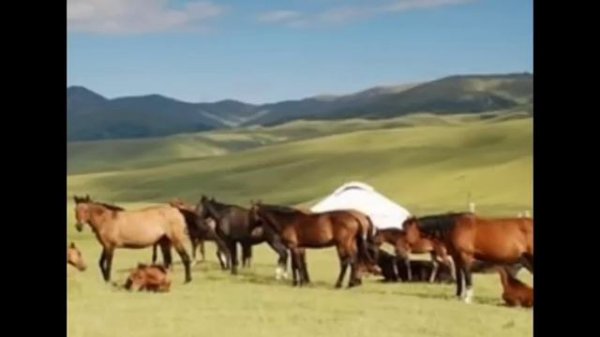 Шашты. (Әңгіме) Айгүл КЕМЕЛБАЕВА. Оқыған Базаркүл ҚАЛБЫР.