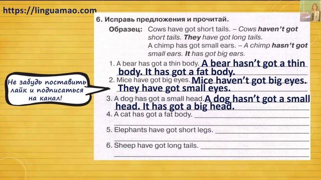 Spotlight 3 класс Сборник упражнений страница 64 номер 6 ГДЗ решебник смотреть онлайн