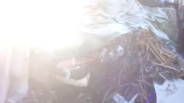 Картон для дождевых червей #677