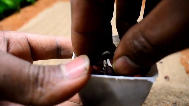 Diy mini tractor cultivator ridge guard cultivation | @Maru_creator смотреть онлайн