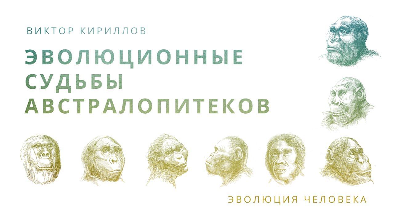 9. Эволюционные судьбы австралопитеков. Происхождение человека - 10 класс смотреть онлайн