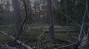Сверхбыстрый снежный человек снят на камеру