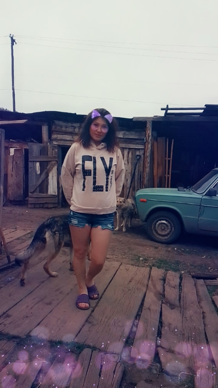 Милый котик