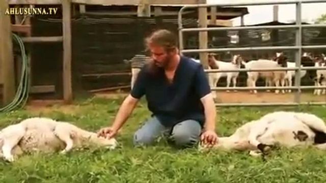 С именем Аллаха с именем Которого ничто не причинит вреда ни на земле, ни на небе, ведь Он Слышащий смотреть онлайн