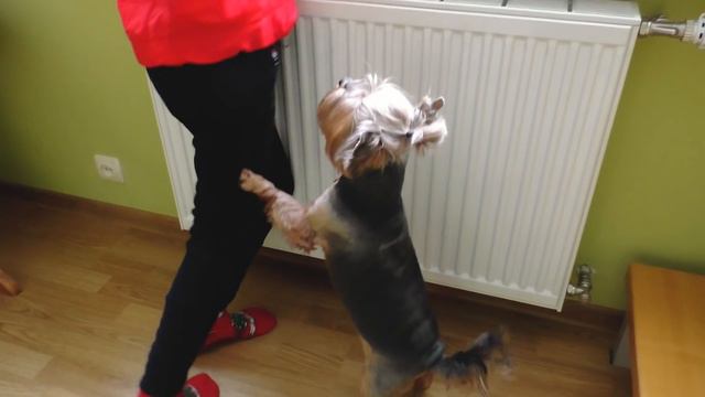 Прятки от СИРЕНОГОЛОВОГО в реальной жизни ! Он ПРИШЕЛ в НАШ ДОМ смотреть онлайн