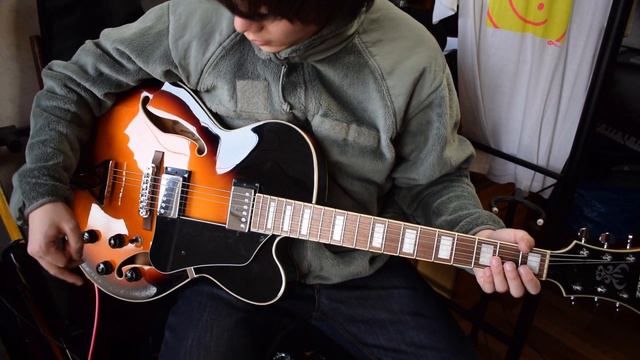５万円の激安フルアコを購入！【Ibanez AF75】 смотреть онлайн