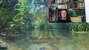 Матрица Гаряева. Все Тревоги Исчезли, Абсолютное Спокойствие