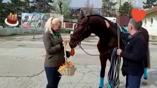 11.03.2020 С днём рождения Багратион смотреть онлайн