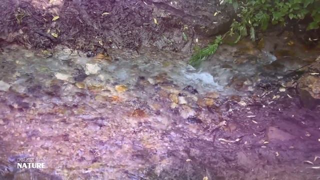 Звуки природы для снятия стресса и усталости. 30 минут расслабляющего звука водопада для сна. смотреть онлайн