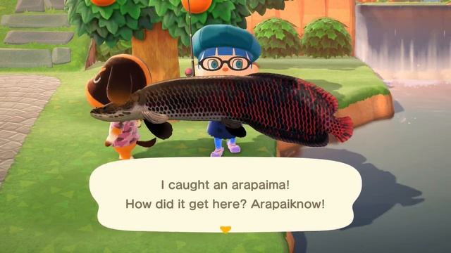 Animal Crossing: New Horizons - How to Catch an Arapaima смотреть онлайн