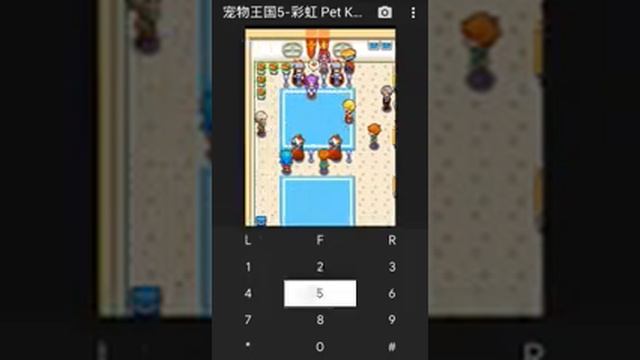 【JAVA GAMES】 宠物王国5-彩虹 Pet Kingdom 5 - Rainbow China Rpg n73.jar - J2me Loader смотреть онлайн