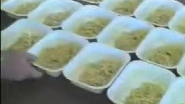 PAO-Q: Линия по фасовке спагетти в пластиковые контейнеры смотреть онлайн