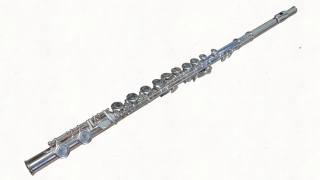 Playing the Big-gulp (sounds like flute) смотреть онлайн