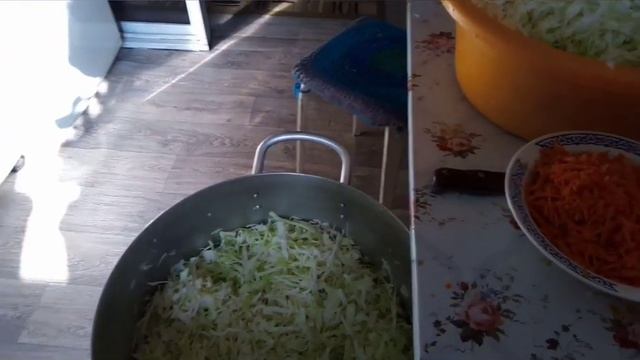 # Капустка салатная.mp4 смотреть онлайн