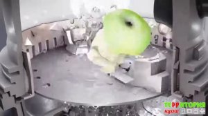 Принцип работы измельчителя для кухни.