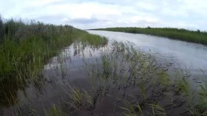 Рыбалка на кастинговую сеть. Сазан, карась. Сартлан, Красный Яр04.07.19