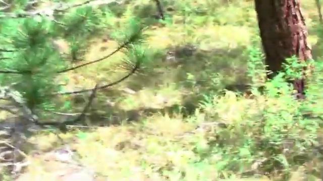 Горный Алтай 2011 г.,четвертая часть mp4 смотреть онлайн