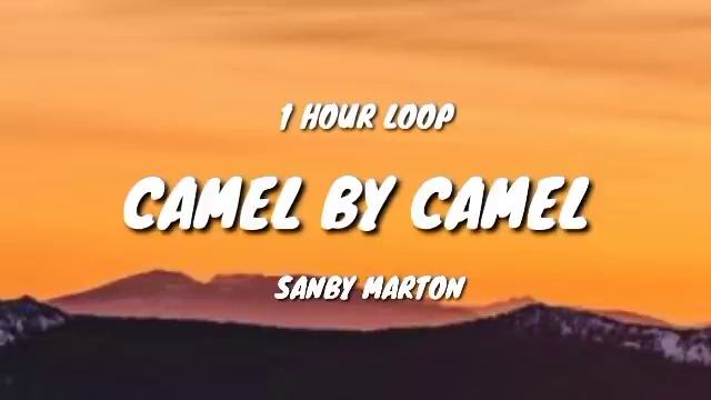 Sandy Marton - Camel By Camel (1 HOUR LOOP)