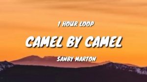 Sandy Marton - Camel by Camel (1 HOUR LOOP)