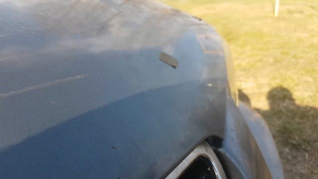 Домовладельцы