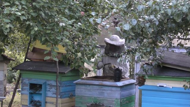 ? Любимые и Вкусные ЯГОДЫ. ? Дедушка собирает МЁД. ПЧЕЛЫ на даче. ДЕТИ в огороде. смотреть онлайн