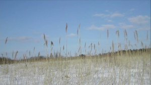 Иеромонах Роман. «Пел слепой заученное с детства...»