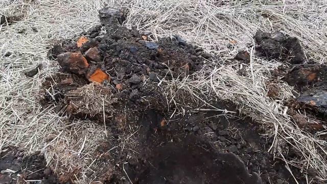 Открытие сезона металокопа 2021г.Чем опасна встреча с бродячими собаками. смотреть онлайн