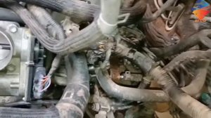 Engine Number And Name Location Of Toyota Corolla 2008