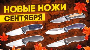 СКЛАДНЫЕ НОЖИ СЕНТЯБРЯ! От Дедюхина и Широгорова до Cultrotech и Gazebo. Дайджест по новинкам.