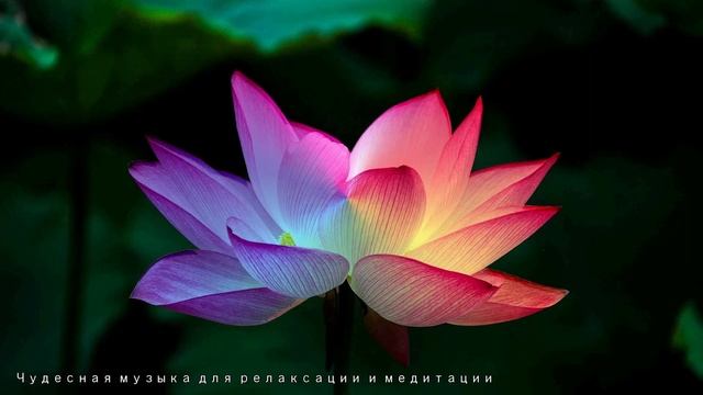 【Преодоление трудностей】 Музыка с волной 852 Гц / 【Overcoming difficulties】 Music with 852 Hz wave смотреть онлайн