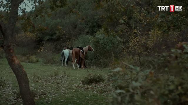Diriliş Ertuğrul 65. Bölüm