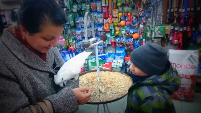 Влог: Друг Мамы Карине, Прогулка по Городу и Новогодний Спектакль в Шоппинг-Центре смотреть онлайн