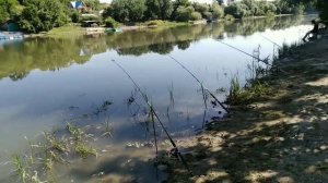 Рыбалка на реке Аксай!!! Опять крупный карась!!!