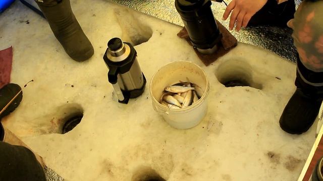 Зимняя рыбалка на плотву в Якутии. смотреть онлайн