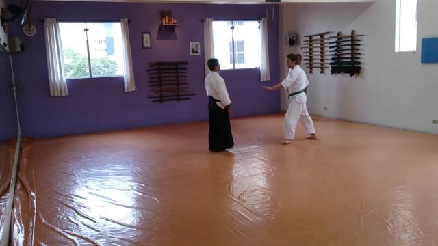 Aikido - Tati Wasa - Ricardo Kanashiro смотреть онлайн