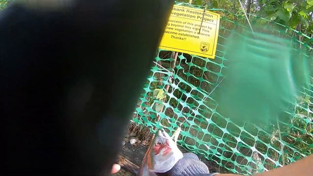 RUSSIAN RIVER FISHING | ALASKA 2020 смотреть онлайн